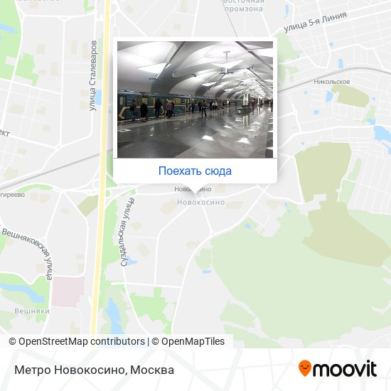 Карта Метро Новокосино