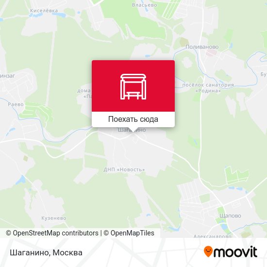Карта Шаганино