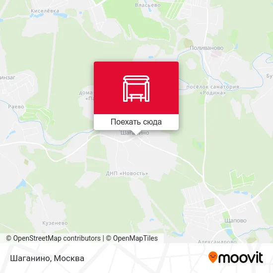 Карта Шаганино