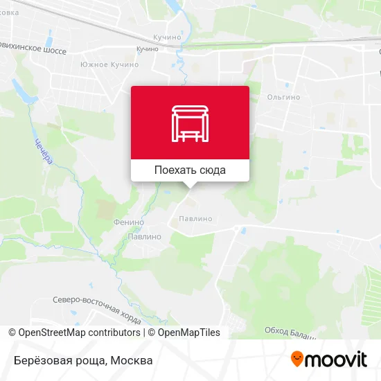 Карта Берёзовая роща