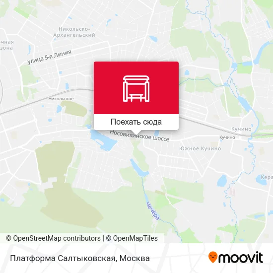 Карта Платформа Салтыковская