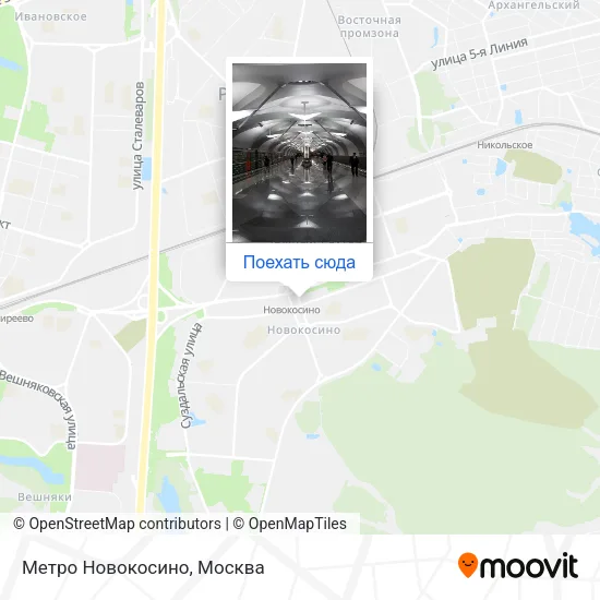 Карта Метро Новокосино