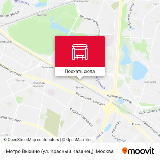 Карта Метро Выхино (ул. Красный Казанец)