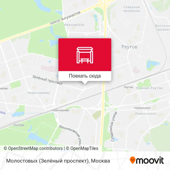 Карта Молостовых (Зелёный проспект)