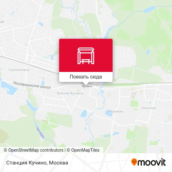 Карта Станция Кучино