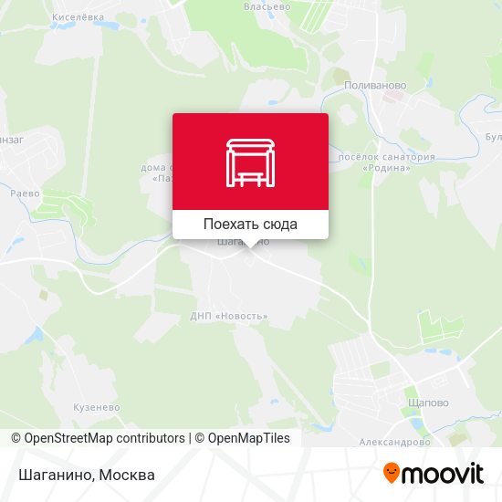 Карта Шаганино