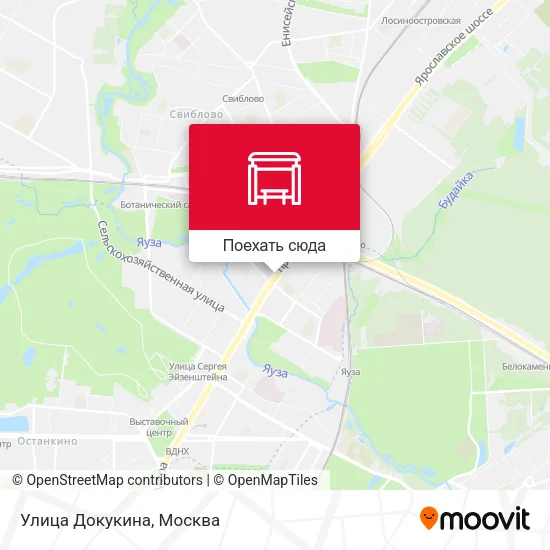 Карта Улица Докукина