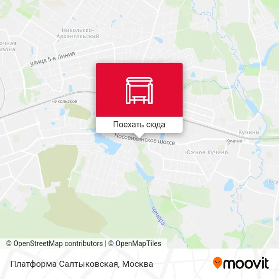 Карта Платформа Салтыковская