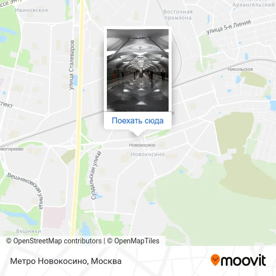 Карта Метро Новокосино