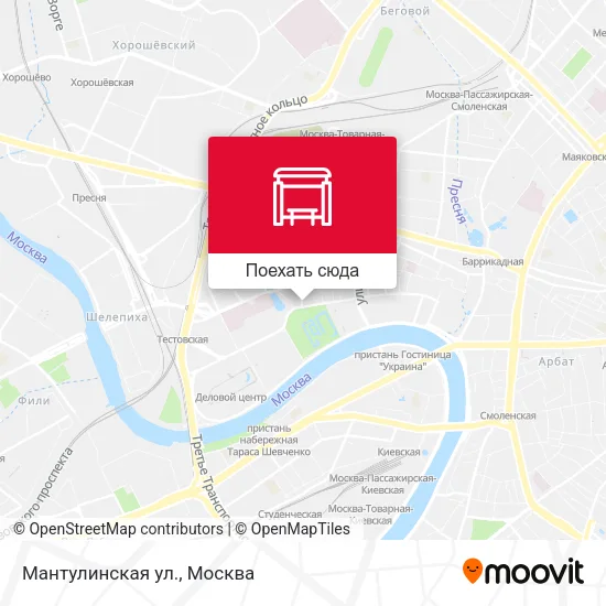 Карта Мантулинская ул.