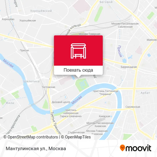 Карта Мантулинская ул.