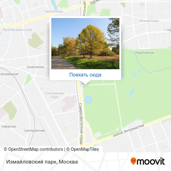 Карта Измайловский парк