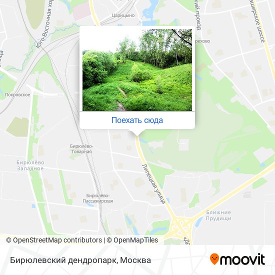 Дендропарк москва карта