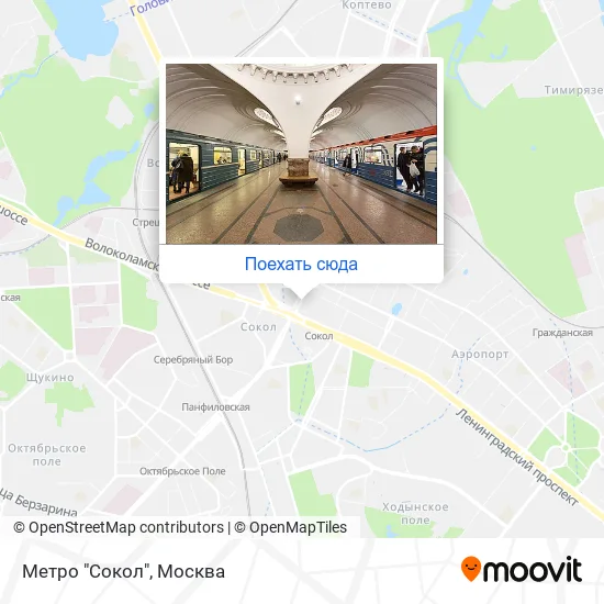 Карта Метро "Сокол"