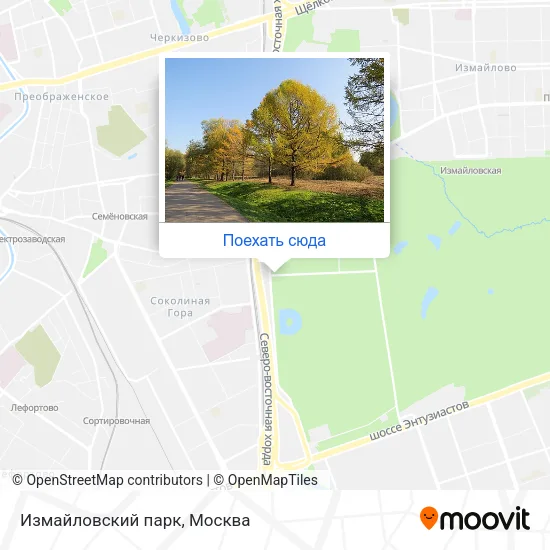Карта Измайловский парк