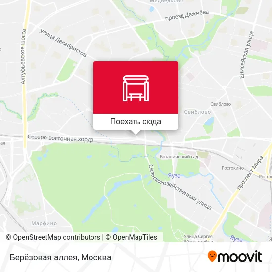 Карта Берёзовая аллея