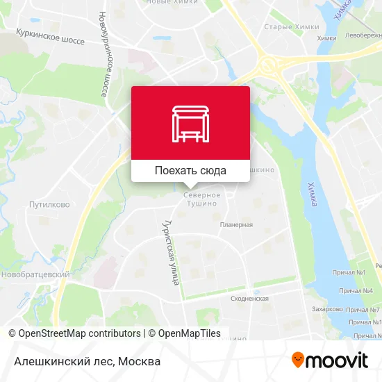 Карта Алешкинский лес