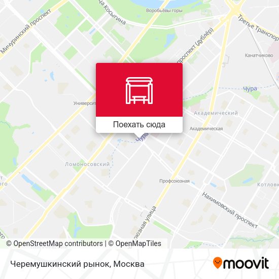 Карта Черемушкинский рынок