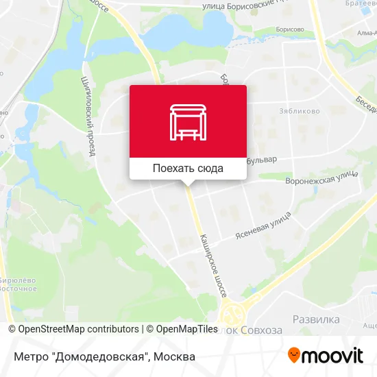 Карта Метро "Домодедовская"