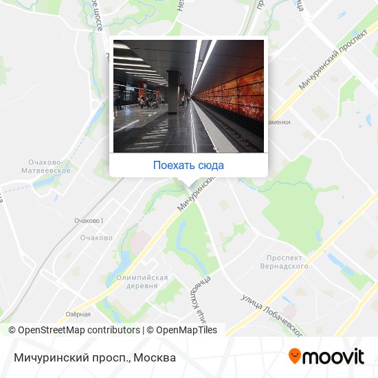 Карта Мичуринский просп.