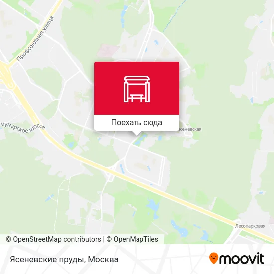 Карта Ясеневские пруды