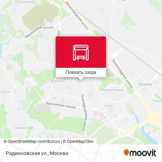 Карта Родионовская ул.