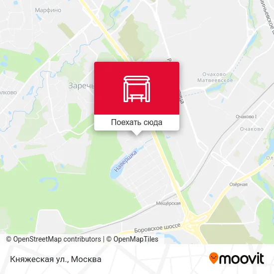 Карта Княжеская ул.
