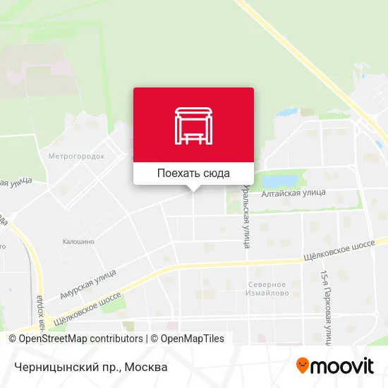 Карта Черницынский пр.