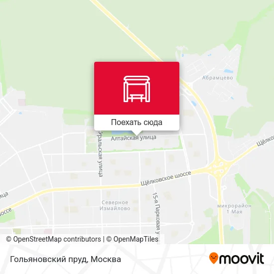 Карта Гольяновский пруд