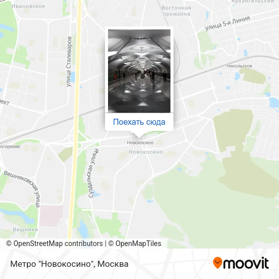 Карта Метро "Новокосино"