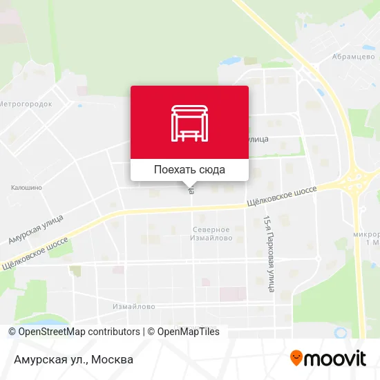 Карта Амурская ул.