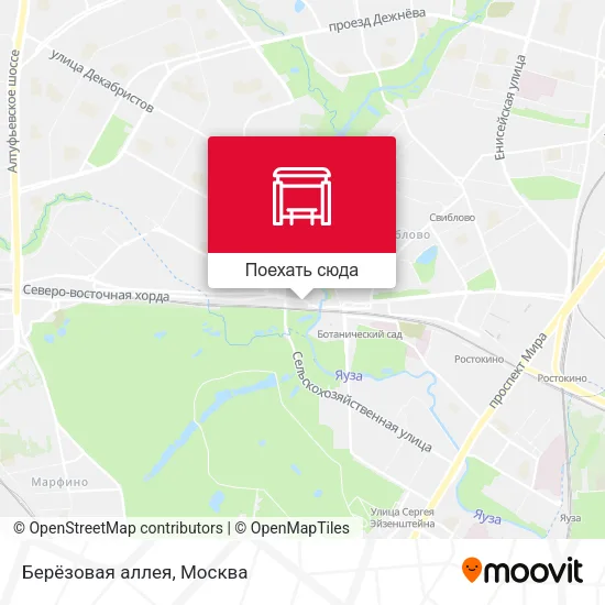 Карта Берёзовая аллея