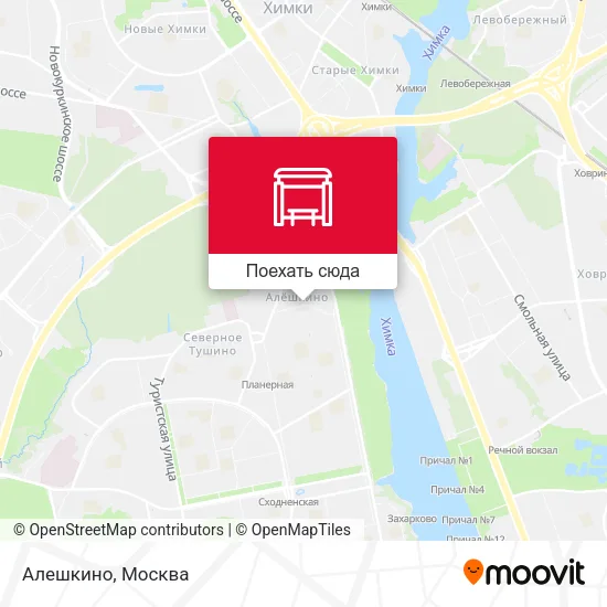 Карта Алешкино