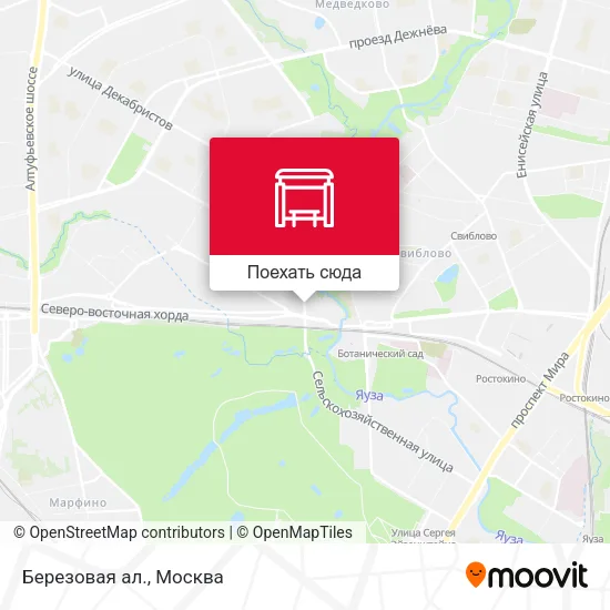 Карта Березовая ал.