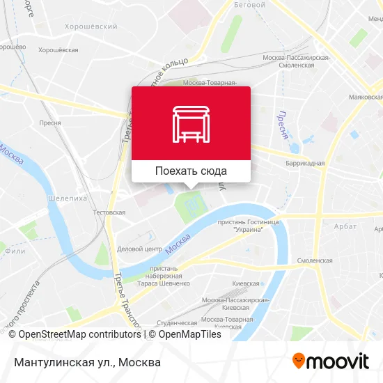 Карта Мантулинская ул.