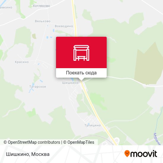 Карта Шишкино