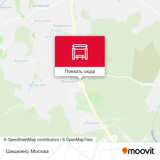 Карта Шишкино