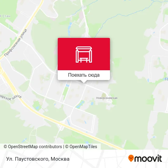 Карта Ул. Паустовского