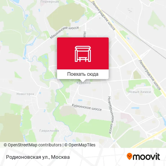 Карта Родионовская ул.
