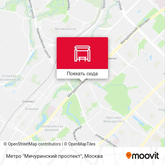 Карта Метро "Мичуринский проспект"