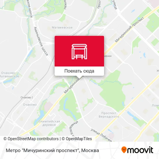 Карта Метро "Мичуринский проспект"