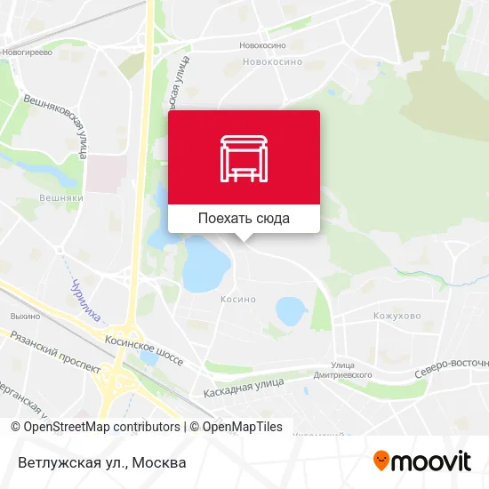 Карта Ветлужская ул.