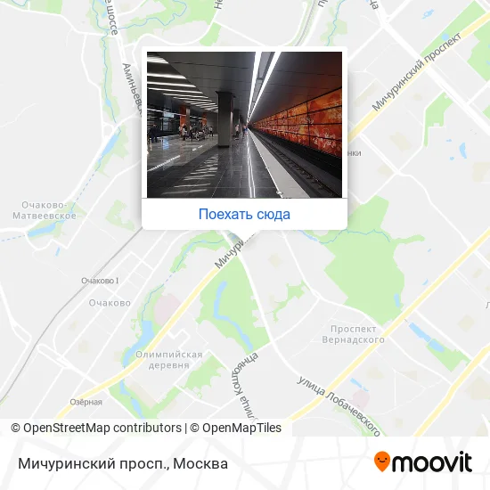 Карта Мичуринский просп.