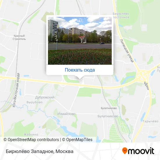 Карта Бирюлёво Западное