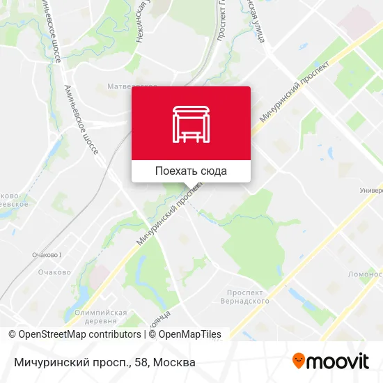 Карта Мичуринский просп., 58