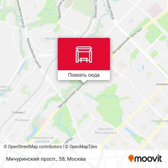 Карта Мичуринский просп., 58