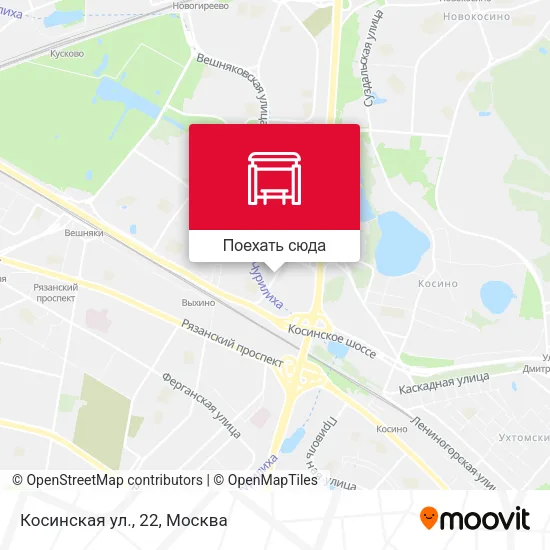 Карта Косинская ул., 22