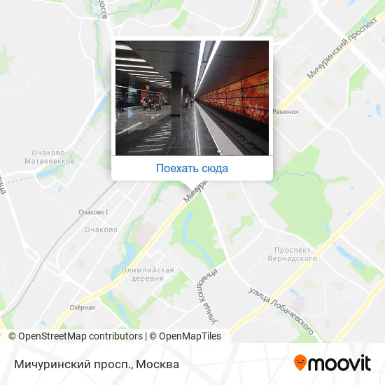 Карта Мичуринский просп.