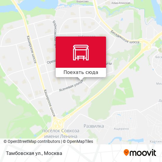 Карта Тамбовская ул.