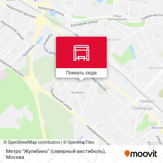 Карта Метро "Жулебино" (северный вестибюль)